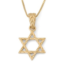 14K Gold Star of David Pendant with Etched Root Design