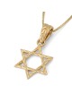 14K Gold Star of David Pendant with Etched Root Design