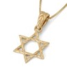 14K Gold Star of David Pendant with Etched Root Design