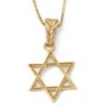 14K Gold Star of David Pendant with Etched Root Design