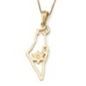 14K Gold Dainty Map of Israel Pendant with Diamond-Accented Star of Da