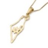 14K Gold Dainty Map of Israel Pendant with Diamond-Accented Star of Da