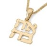 14K Yellow Gold Ahava / Love Pendant for Women