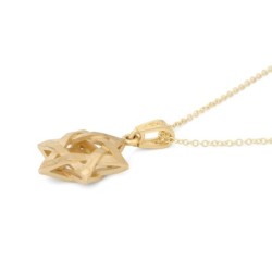 14K Gold Three-Dimensional Star of David Pendant Necklace - Yellow or