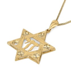 14K Gold Men's Large Textured Star of David and Chai Pendant with Star