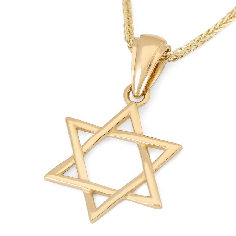 תליון מגן דוד משולב זהב צהוב 14 קראט עדין