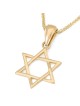 תליון מגן דוד משולב זהב צהוב 14 קראט עדין