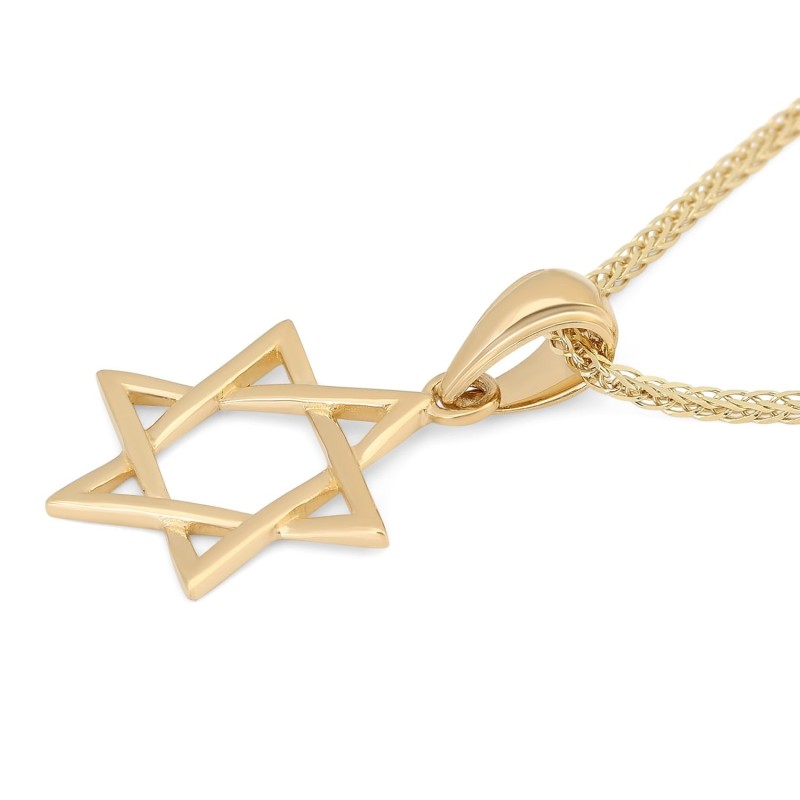 תליון מגן דוד משולב זהב צהוב 14 קראט עדין