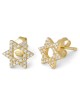 Boucles d'oreilles à tige étoile de David en argent sterling plaqué or avec zircon St