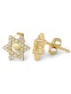 Boucles d'oreilles à tige étoile de David en argent sterling plaqué or avec zircon St