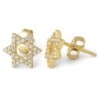 Gold Plated Sterling Silver Star of David Stud Earrings with Zircon St