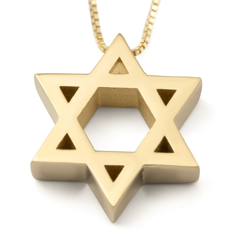 Deluxe 14K Gold Star of David Pendant Necklace (Choice of Colors)