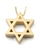 שרשרת תליון מגן דוד דלוקס זהב 14 קראט (מבחר צבעים)