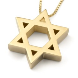 Deluxe 14K Gold Star of David Pendant Necklace (Choice of Colors)