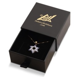 48-Diamond Two-Toned 14K Gold Star of David Pendant Necklace with Blue