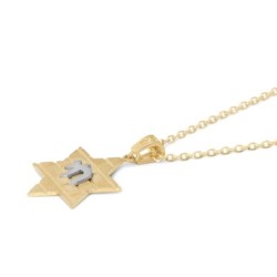 14K Gold Star of David Pendant with Chai and Kotel Motif