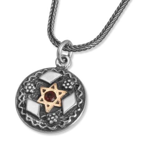 Sterling Silver Disk Pendant Necklace with 9K Gold Star of David, Garn