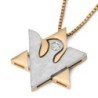 14K Gold Two-Tone Dove and Star of David Shin Pendant with Diamond for