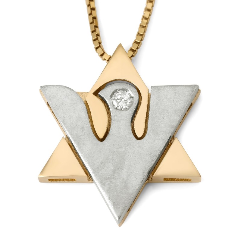 Pendentif tibia colombe et étoile de David bicolores en or 14 carats avec diamant pour