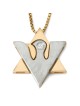 14K Gold Two-Tone Dove and Star of David Shin Pendant with Diamond for