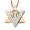 14K Gold Two-Tone Dove and Star of David Shin Pendant with Diamond for
