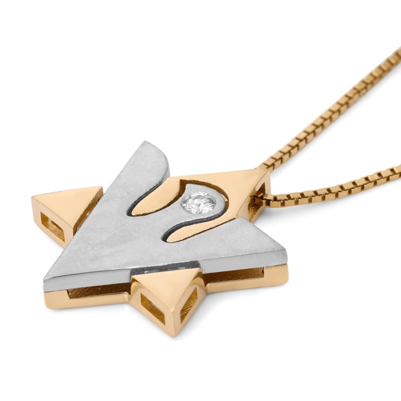 Pendentif tibia colombe et étoile de David bicolores en or 14 carats avec diamant pour