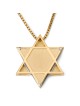 14K Gold Two-Tone Dove and Star of David Shin Pendant with Diamond for
