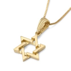 Dainty 14K Gold Star of David Pendant for Children - Color Option