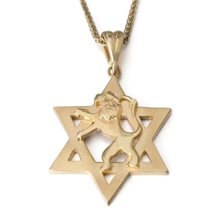 Collier pendentif étoile de David et Lion de Juda en or 14 carats - Jaune ou Wh