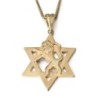 Star of David & Lion of Judah 14K Gold Pendant Necklace - Yellow or Wh