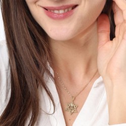 Star of David & Lion of Judah 14K Gold Pendant Necklace - Yellow or Wh