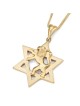 Star of David & Lion of Judah 14K Gold Pendant Necklace - Yellow or Wh