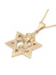 Star of David & Lion of Judah 14K Gold Pendant Necklace - Yellow or Wh