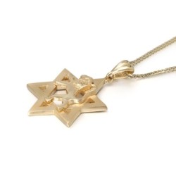 Star of David & Lion of Judah 14K Gold Pendant Necklace - Yellow or Wh
