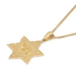 14K Gold Star of David Pendant with Western Wall Design and Chai