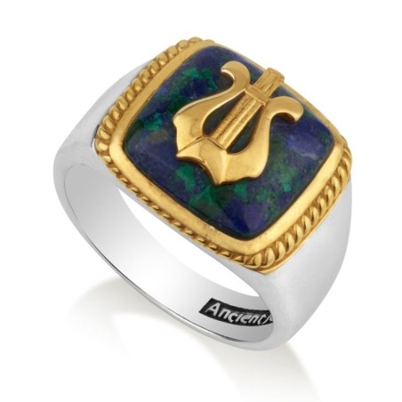 Sterling Silver and Gold Plated David's Harp Men's Ring with Eilat Sto