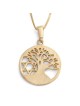 Collier pendentif arbre de vie et étoile de David en or 14 carats (choix de co