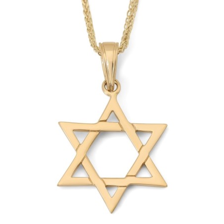 Pendentif raffiné étoile de David en or jaune 14 carats