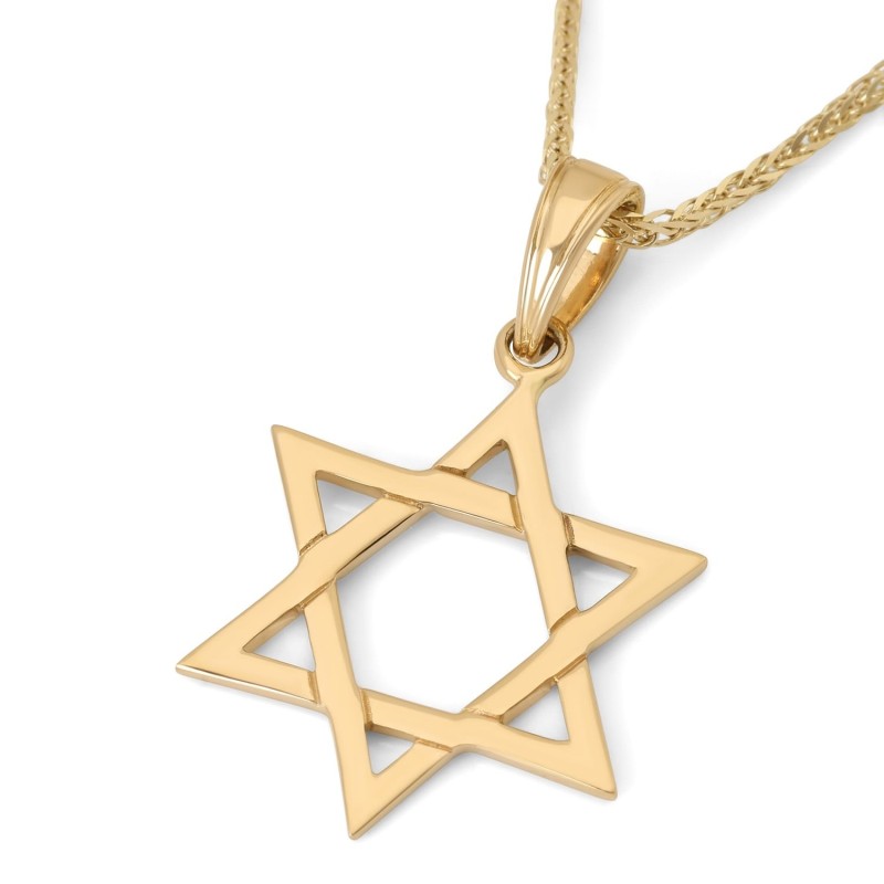 Pendentif raffiné étoile de David en or jaune 14 carats