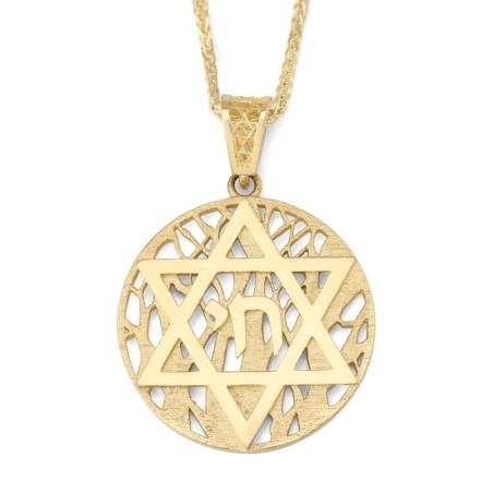 14K Gold Star of David and Chai Pendant with Tree of Life Background -