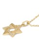 14K Gold Domed Star of David Pendant with Diamond Studded Triangle - Y