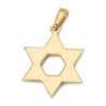 14K Gold Domed Star of David Pendant with Diamond Studded Triangle - Y