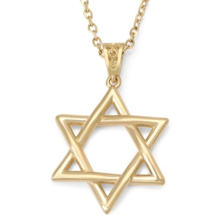 Luxueux collier pendentif étoile de David en or 14 carats - Jaune ou blanc Go