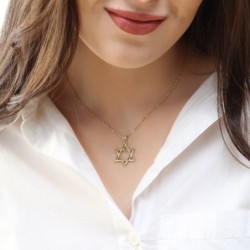 Luxurious 14K Gold Star of David Pendant Necklace - Yellow or White Go