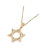 Luxurious 14K Gold Star of David Pendant Necklace - Yellow or White Go
