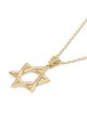 Luxurious 14K Gold Star of David Pendant Necklace - Yellow or White Go