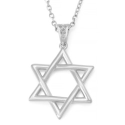 Luxurious 14K Gold Star of David Pendant Necklace - Yellow or White Go