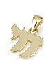 14K Gold Traditional Chai Pendant Necklace - Yellow or White Gold