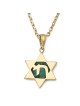 14K Gold Star of David with Chai on Eilat Stone Pendant Necklace