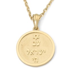 14K Gold Am Yisrael Chai Unisex Pendant Necklace with Star of David